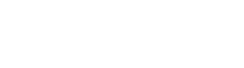 Net Glue Ltd Logo